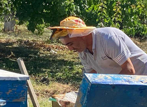 Շահրամանյան ամուսինները Հայաստանում հաստատվելուց հետո կրկին սկսել են զբաղվել մեղվաբուծությամբ