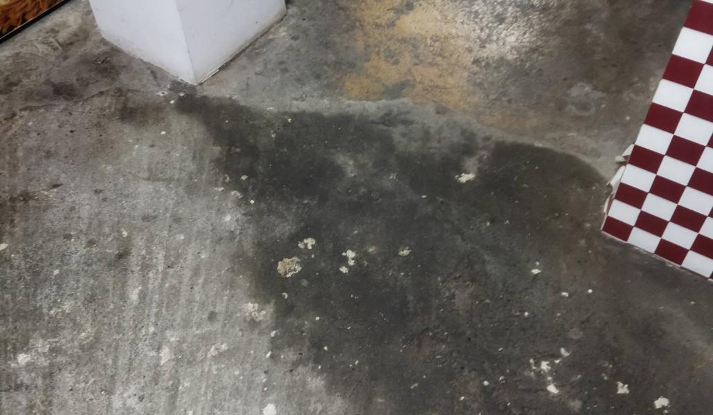 448931112_860792952751758_4715956412016628089_n