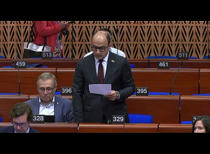 Վաղ թե ուշ ԼՂ հայերի ինքնորոշման իրավունքը կիրացվի. Բաքվում դրանից սարսափում են և ճիշտ են անում․ Մամիջանյանը՝ ԵԽԽՎ-ում