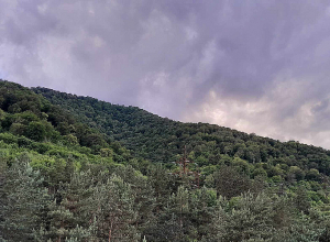 Ожидается не очень жаркий и дождливый июль: Суренян