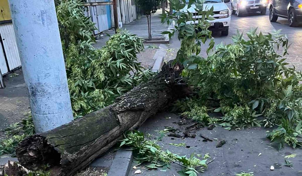 449486530_441784562150985_8128759908908746997_n