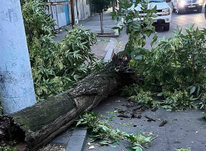 Ուժեղ քամին վնասներ է հասցրել Երևանում և մարզերում