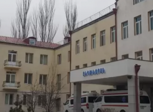 Սյունիքում «Էկզոգեն թունավորում» ախտորոշմամբ ընտանիքի 7 անդամ տեղափոխվել է հիվանդանոց. 4-ամյա աղջնակը մահացել է