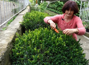 Մարց գյուղի «տաք» բնակիչները