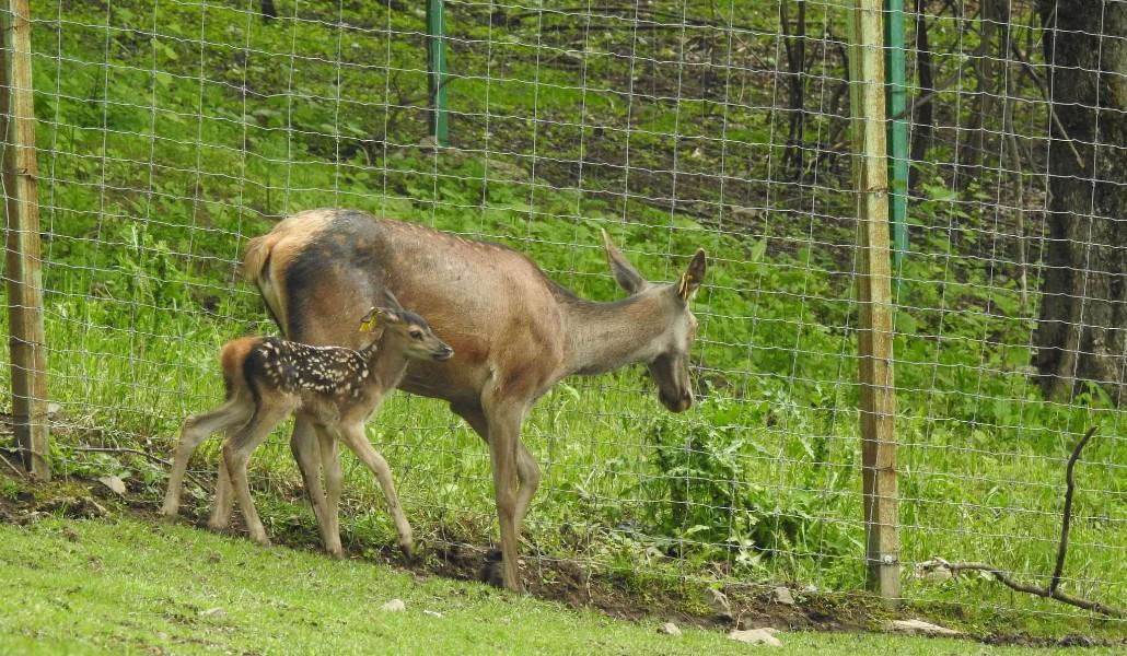 450253799_799069519081086_5641589430558414045_n