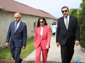 «Սևանի հոգեկան առողջության կենտրոն» է այցելել առողջապահության նախարար