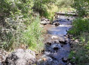 Տավուշում և Սյունիքում գարնանային տրամադրություն է․ Սուրենյան