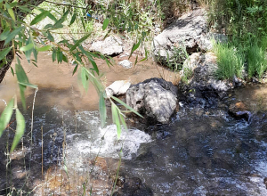 Ինչպիսի եղանակ է սպասվում ապրիլին