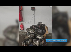 ՊԵԿ-ը կանխել է մաքսային հսկողությունից թաքցված դեղորայքի ներկրման փորձը