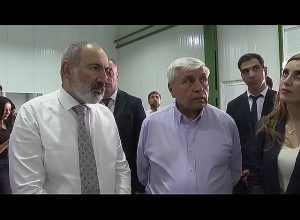 Վարչապետը ծանոթացել է «Ագրո Մենեջմենթ» ընկերության ներդրումային ծրագրերին