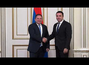 Ален Симонян принял председателя комитета по внешним связям парламента Грузии