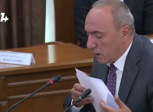 В Ереване тысячи сухих деревьев, ресурсов хватает на вырубку 1200 деревьев в год