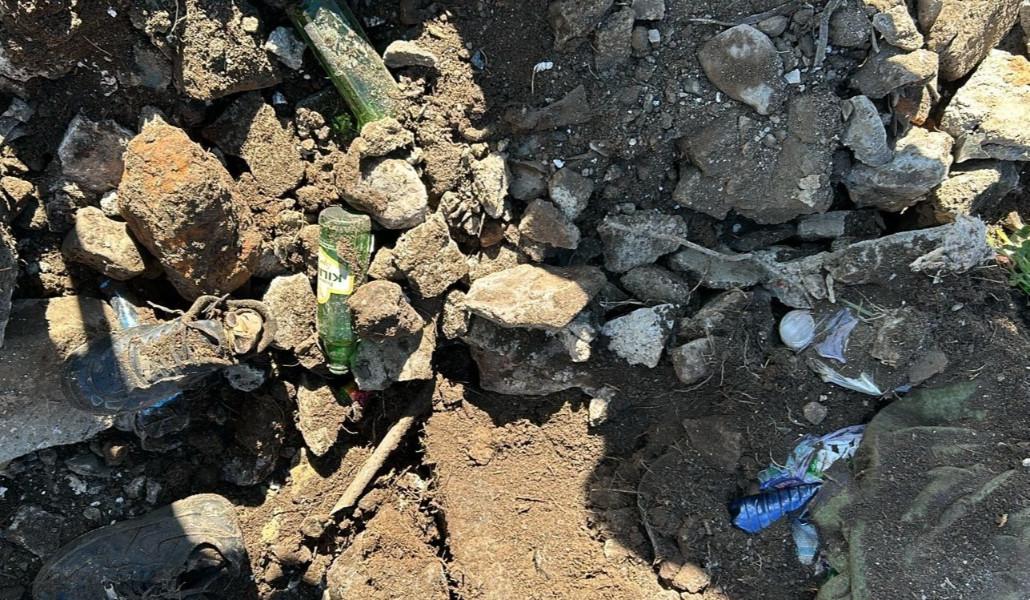 Լուսանկար (3)