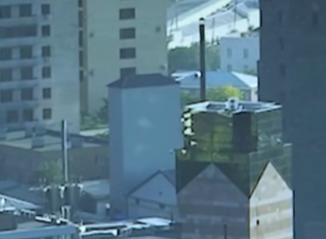 Դու մեր բոլորի մեծ սերն ես․ Տիգրան Ավինյանի ուղերձը