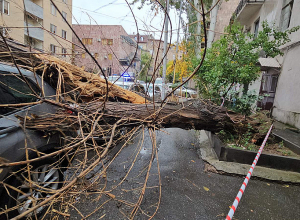 Ծառը կոտրվել և ընկել է կայանած ավտոմեքենաների վրա