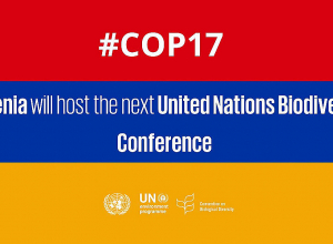 В 2026 году Армения примет COP17: Акоп Симидян