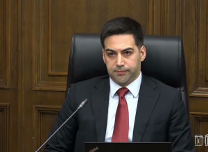 В Армении существует налоговый террор: Тадевос Аветисян