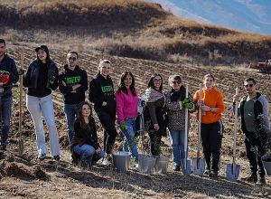 Ucom Employees Participate in Forest Restoration Efforts in Vayots Dzor