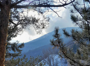 В ночь с 7 на 8 января температура воздуха понизится