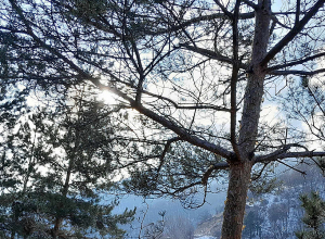 Սպասվում է առանց տեղումների եղանակ. օդի ջերմաստիճանը կբարձրանա