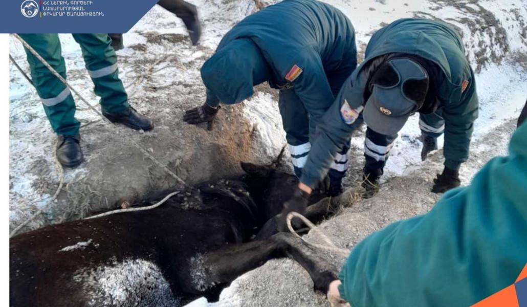 photo_2024-12-14_10-47-13