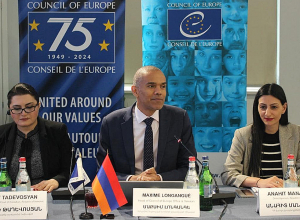 Զինծառայողների վերաբերյալ ՄԻՊ հաստատությունում ստացված բողոքների զգալի մասը վերաբերում են բժշկական հետազոտություններին և փորձաքննություններին․ Մանասյան