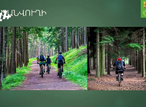 Ինչ է նախատեսում կառուցել քաղաքապետարանը Կենդանաբանական այգու կողքին