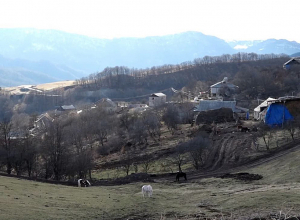 «Գեղացին չըրչարվում ա, օգուտը տենում ա առեւտրականը». շամուտեցի անասնապահը