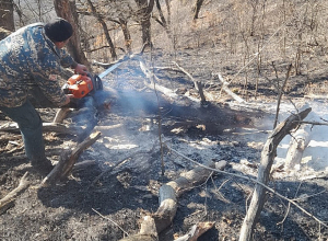 Աղավնավանք և Ձորավանք համայնքների մոտակա սարերում բռնկված հրդեհը մարվել է