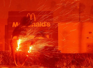 Среди погибших в результате пожара в Калифорнии граждан Армении нет: МИД