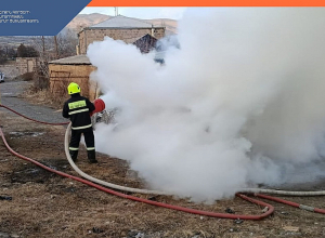 Այրվել է «Tesla» մակնիշի ավտոմեքենա