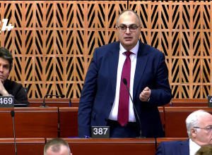 Выступление Владимира Варданяна в ПАСЕ