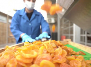 ՊԵԿ ը կատարելագործել է Հաշվետվությունների ներկայացման էլեկտրոնային համակարգը