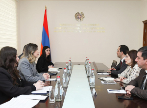 Սրբուհի Գալյանն Անահիտ Ավանեսյանի հետ քննարկել է ազատազրկվածներին առնչվող առողջապահական հրատապ խնդիրները