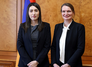 Նախարարն ընդունել է ԵԽ պատվիրակությանը