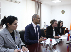 Անահիտ Մանասյանը փետրվարի 7-ին ընդունել է ԵԽ Մարդու իրավունքների, արդարադատության և իրավական համագործակցության չափանիշների կիրարկման դեպարտամենտի ղեկավարին