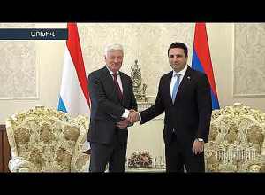 Ալեն Սիմոնյանն արտերկրյա հանդիպումներում բարձրացրած հարցերը