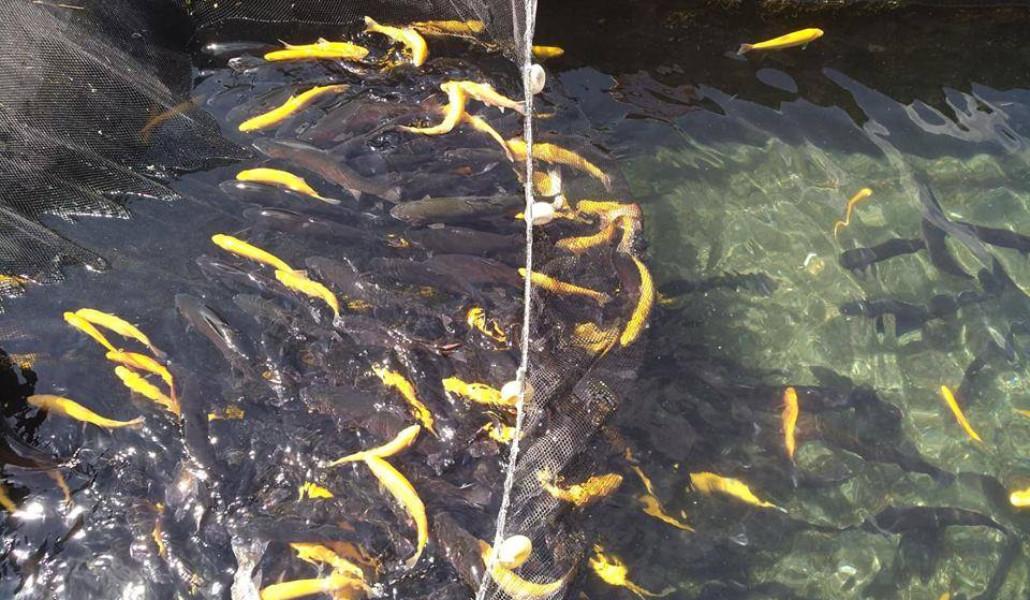 480572774_1075820907908263_4079430842500655004_n