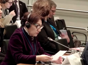 «Առաջարկել եմ ԵԱՀԿ ԽՎ մոնիտորինգային միսիա ուղարկել Բաքու՝ դիտարկելու դատավարական ֆարսը»․ Լիլիթ Գալստյան