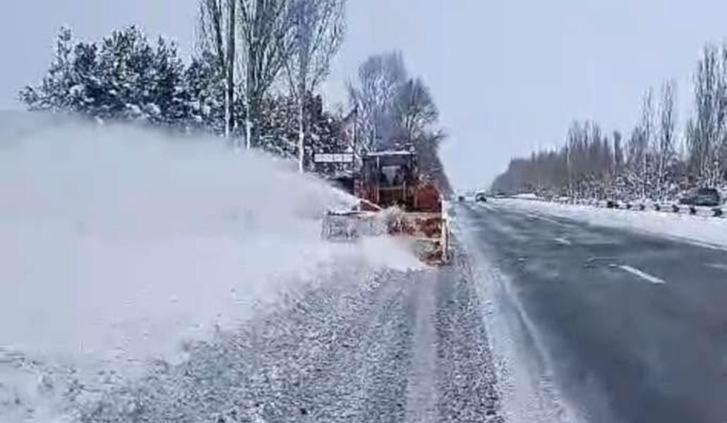 480979987_1025534246275461_2459943639823618143_n