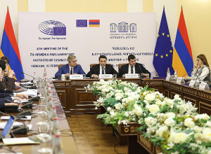 ԵՄ-Հայաստան խորհրդարանական գործընկերության կոմիտեի նիստը. ՈՒՂԻՂ