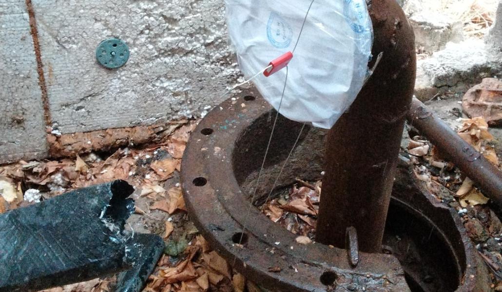 481257802_1081135037376850_5758313284453640777_n