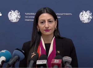 Տեսնելով Ռուբեն Վարդանյանի նկարները, փորձել ենք հասկանալ՝ մեր մանդատով ինչ կարող ենք անել. ՄԻՊ