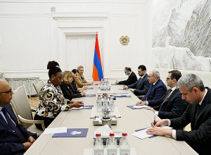 Премьер-министр принял исполнительного секретаря Конвенции ООН о биологическом разнообразии