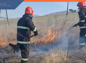 Հրշեջ-փրկարարները կանխել են հրդեհի տարածումը դեպի մոտակա այգիներ