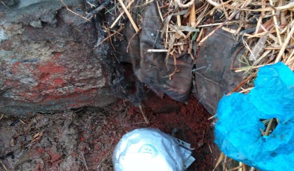 484189513_1092043026286051_8409237292248462695_n