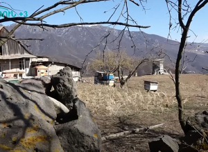 Սիմոն տար,Սիմոն բեր, կռիվ, վիճաբանություն Այգեհատում