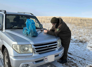 Առգրավվել է որսորդական 4 զենք և ապօրինի որսված 90 արտույտ