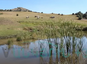 Լալվարի վերջին մոհիկանները