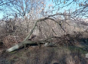 Հիմնվելու է շուրջ 30 հա մակերեսով զբոսայգի